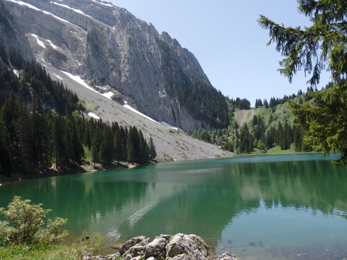 Bed and Breakfast Au Coeur Des Alpes Marignier Экстерьер фото